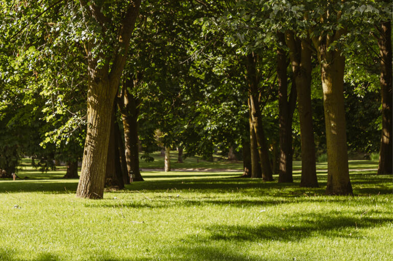 Jardins